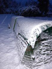 The grass is green and dry underneath the cover!!
