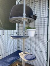 A cat in the den of his outdoor cat tree