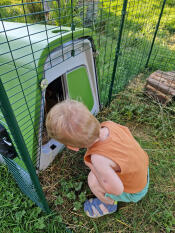 A child looking inside of the eglu go guinea pig hutch.