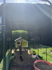 The green chicken feeders and drinkers attached to the inside of a large walk in run.