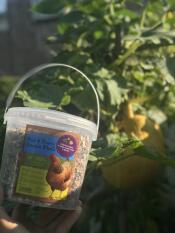 fruit an nut feed for a chicken in a pot in a garden