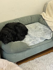 A dog sleeping on the bolster dog bed in corduroy pebble print.