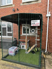 A Catio enclosure set up with various accessories inside.