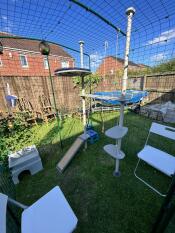 The outdoor Freestyle cat tree set up inside a catio.
