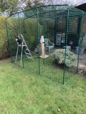 Two cats spending time outside in their catio.