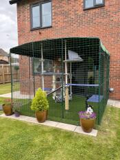 A catio mounted against a house wall with an indoor cat tree