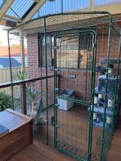 The outdoor cat run set up on a porch.