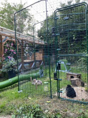 A large outdoor rabbit run set up in a garden with two bunnies inside.
