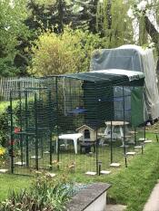 A cat enclosure with a porch in a garden