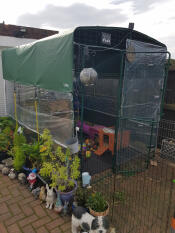 The large rabbit outdoor enclosure set up with covers.