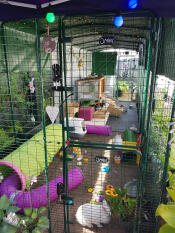 A large outdoor rabbit run set up.