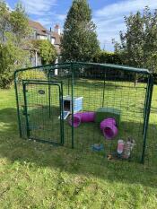 An outdoor rabbit run installed in a garden with some accessories such as a tunnel