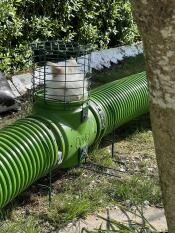 A rabbit in lookout tower attached to the Zippi tunnels.