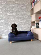 A dog sitting in the midnight blue Bolster dog bed.