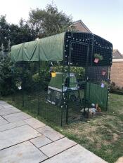 A green chicken coop in a large walk-in run, in a garden