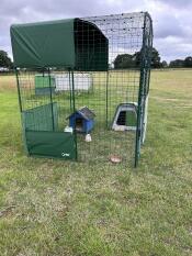 A walk in run set up with an eglu go chicken coop.