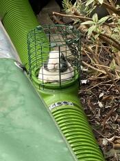 A rabbit looking out of the Zippi Lookout Tower.