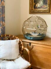 Omlet Geo Bird Cage with Gold Cage and Teal Base