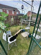 The catio set up with the outdoor freestyle cat tree.