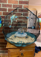 The teal and black Geo bird cage set up.