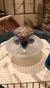 Inside Omlet Geo Bird Cage