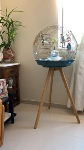 geo budgie bird cage on a stand in a living room