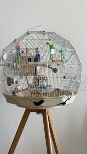 A Omlet Geo bird cage is very sturdy.