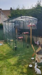 A cat inside a catio in a garden