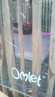 A clear cover used to shelter the chickens.