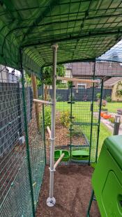 A pole with perches installed in a walk-in run