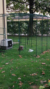 My catio