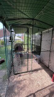 A partition installed in a chicken walk in run.