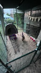 A close up of the partition doors installed in a chicken walk in run.