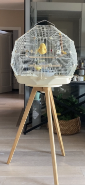 Cream Geo Bird Cage with gold mesh on wooden stand in living room.