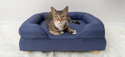Memory foam cat bed sale