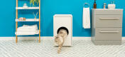 Cat Climbing out of Omlet Maya Cat Litter Box Furniture