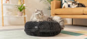 Cat sitting on Omlet Maya Donut Cat Bed in Earl Grey