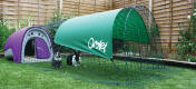 Two rabbits enjoying their Purple Eglu Classic Rabbit Hutch