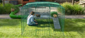 Kid and two Guinea Pigs inside of Omlet Zippi Guinea Pig Playpen with Zippi Platforms, Green Zippi Shelter and Zippi Tunnel Connected
