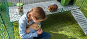 Girl Holding Guinea Pig whilst other Guinea Pig is on Zippi Platforms inside of Omlet Zippi Guinea Pig Playpen