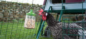 With the Pendant pecking toy, you can make your chickens' run even more fun.