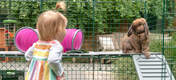 Girl watching Rabbit on Zippi Platforms inside of Omlet Zippi Rabbit Playpen