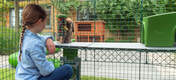 Girl Watching Rabbit Eat from Caddi Treat Holder on Zippi Platforms inside of Omlet Zippi Guinea Pig Playpen