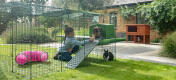 Two rabbits and a girl in Omlet Zippi Rabbit Playpen with Green Zippi Shelter