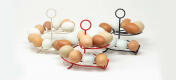 Three Omlet Egg Skelters full of fresh eggs in a kitchen