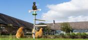 Chickens perching in the garden in the Omlet Freestanding Universal Chicken Perch