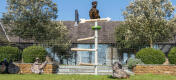 Chicken flock playing with chicken toys and perching in the Garden Freestanding Chicken Perch Tree