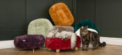 One cat sleeping Red Rouge Donut Cat bed with cat standing in front of other New Donut Cat Bed Colour Beds