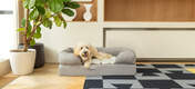 A dog relaxing on an Omlet memory foam dog bed.