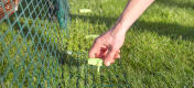 An Omlet screw peg being screwed into the ground.